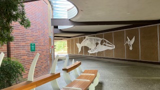 Santa Rosa Junior College campus